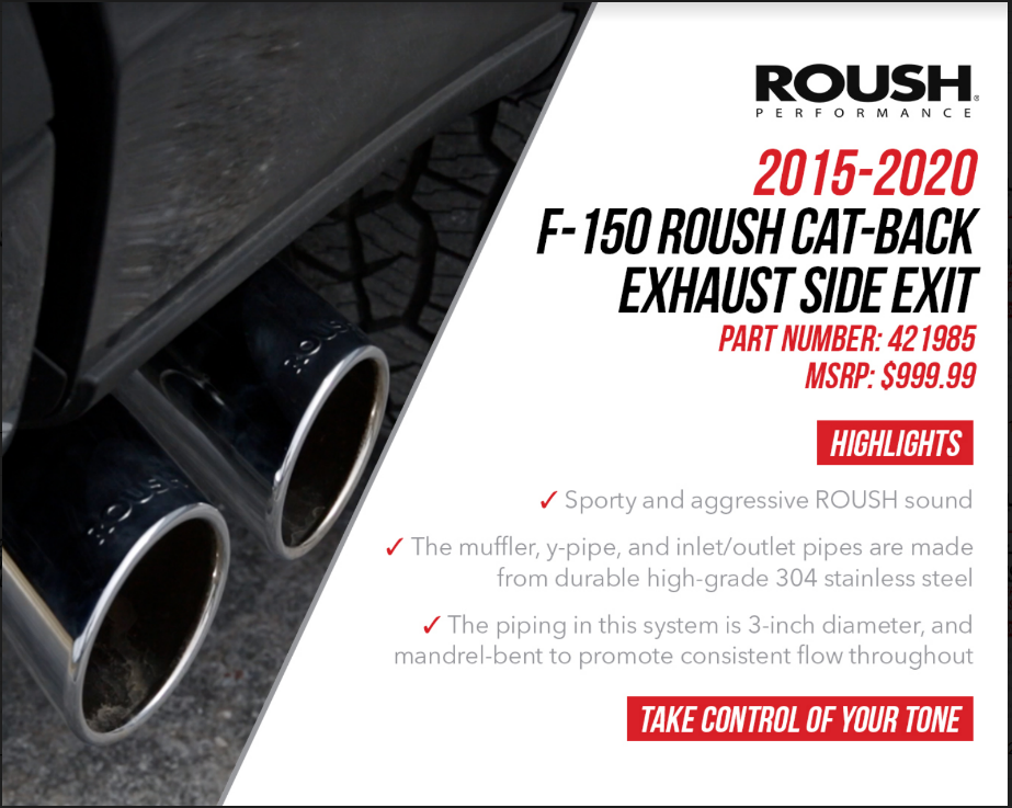 2015-2020 F-150 Roush Cat Back Exhaust Side Exit